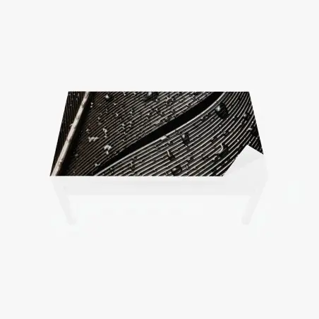 Adesivo per tavolo e scrivania dettaglio di piuma bagnata in bianco e nero • Wallissimo®
