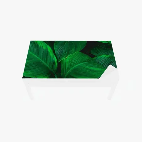 Adesivo per tavolo e scrivania oasi verde: foglie tropicali in primo piano • Wallissimo®