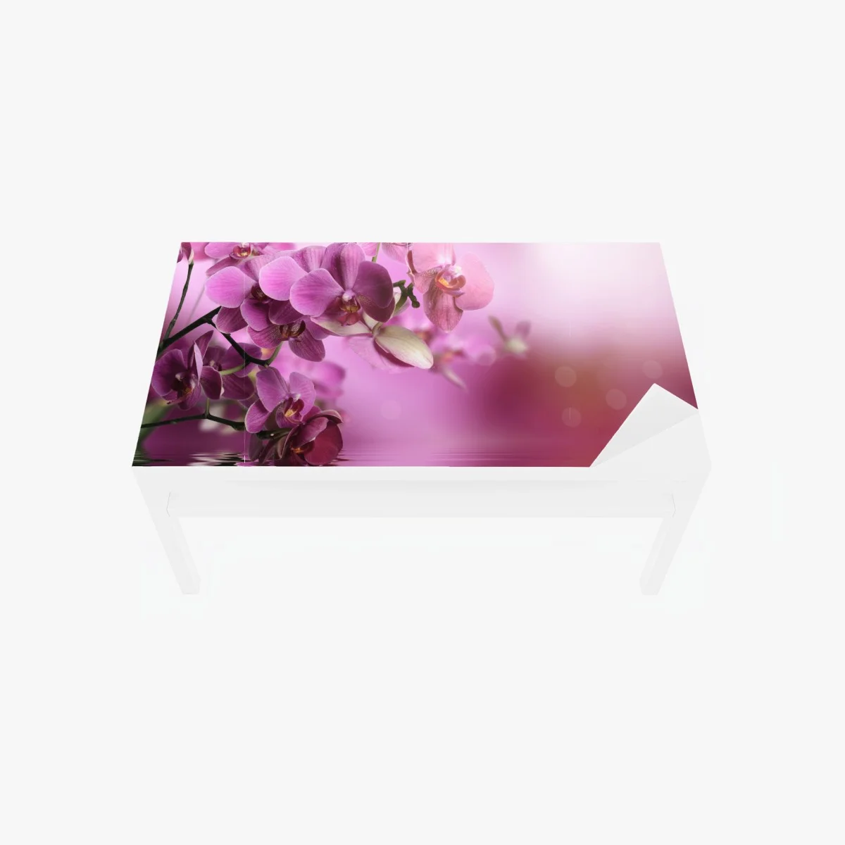 Adesivo per tavolo e scrivania orchidee rosa con riflesso sull'acqua • Wallissimo® Adesivo per tavolo e scrivania orchidee rosa con riflesso sull'acqua • Wallissimo®