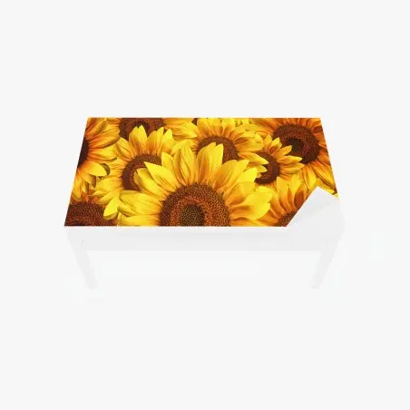 Adesivo per tavolo e scrivania esplosione di girasoli dorati • Wallissimo®