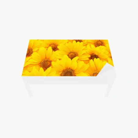 Adesivo per tavolo e scrivania esplosione di girasoli luminosi • Wallissimo®