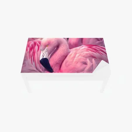 Adesivo per tavolo e scrivania fenicottero rosa in primo piano • Wallissimo®