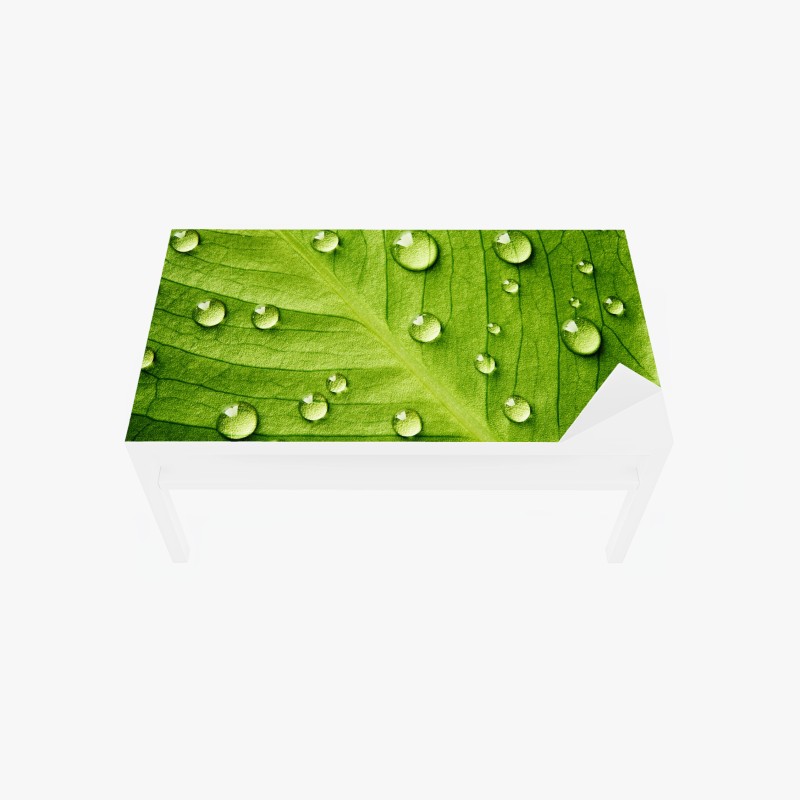 Adesivo per tavolo e scrivania foglia verde con gocce d'acqua