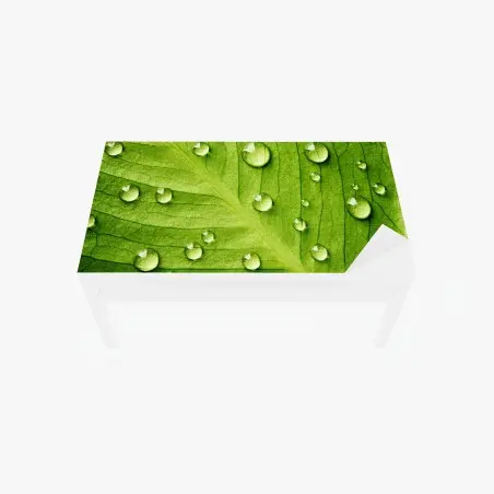 Adesivo per tavolo e scrivania foglia verde con gocce d'acqua • Wallissimo®