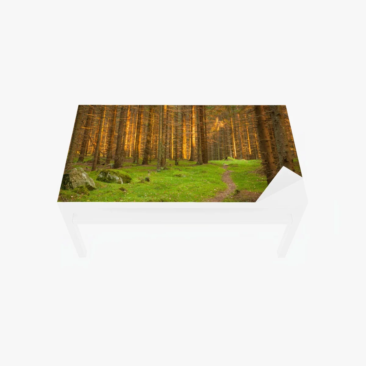Adesivo per tavolo e scrivania sentiero nella foresta dorata • Wallissimo® Adesivo per tavolo e scrivania sentiero nella foresta dorata • Wallissimo®