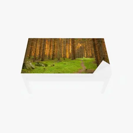 Adesivo per tavolo e scrivania sentiero nella foresta dorata • Wallissimo®