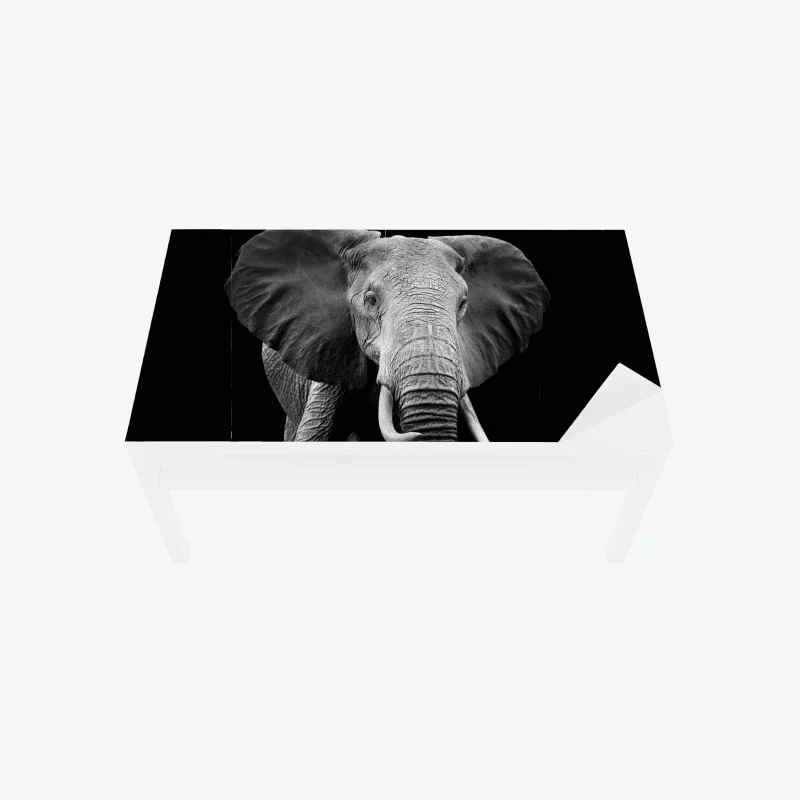Adesivo per tavolo e scrivania maestoso elefante su sfondo nero