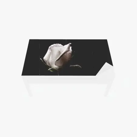 Adesivo per tavolo e scrivania elegante rosa bianca su sfondo scuro • Wallissimo®