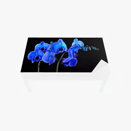 Adesivo per tavolo e scrivania eleganza di orchidea blu su sfondo nero • Wallissimo®