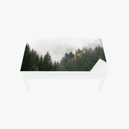 Adesivo per tavolo e scrivania nebbia tra gli abeti • Wallissimo®