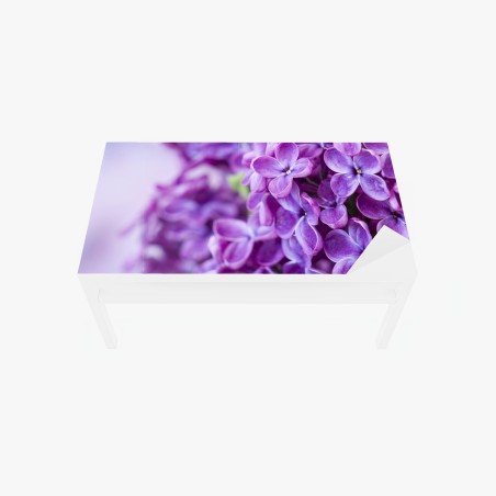 Adesivo per tavolo e scrivania lillà viola in primo piano • Wallissimo®