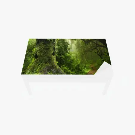 Adesivo per tavolo e scrivania foresta incantata: sentiero tra alberi secolari • Wallissimo®