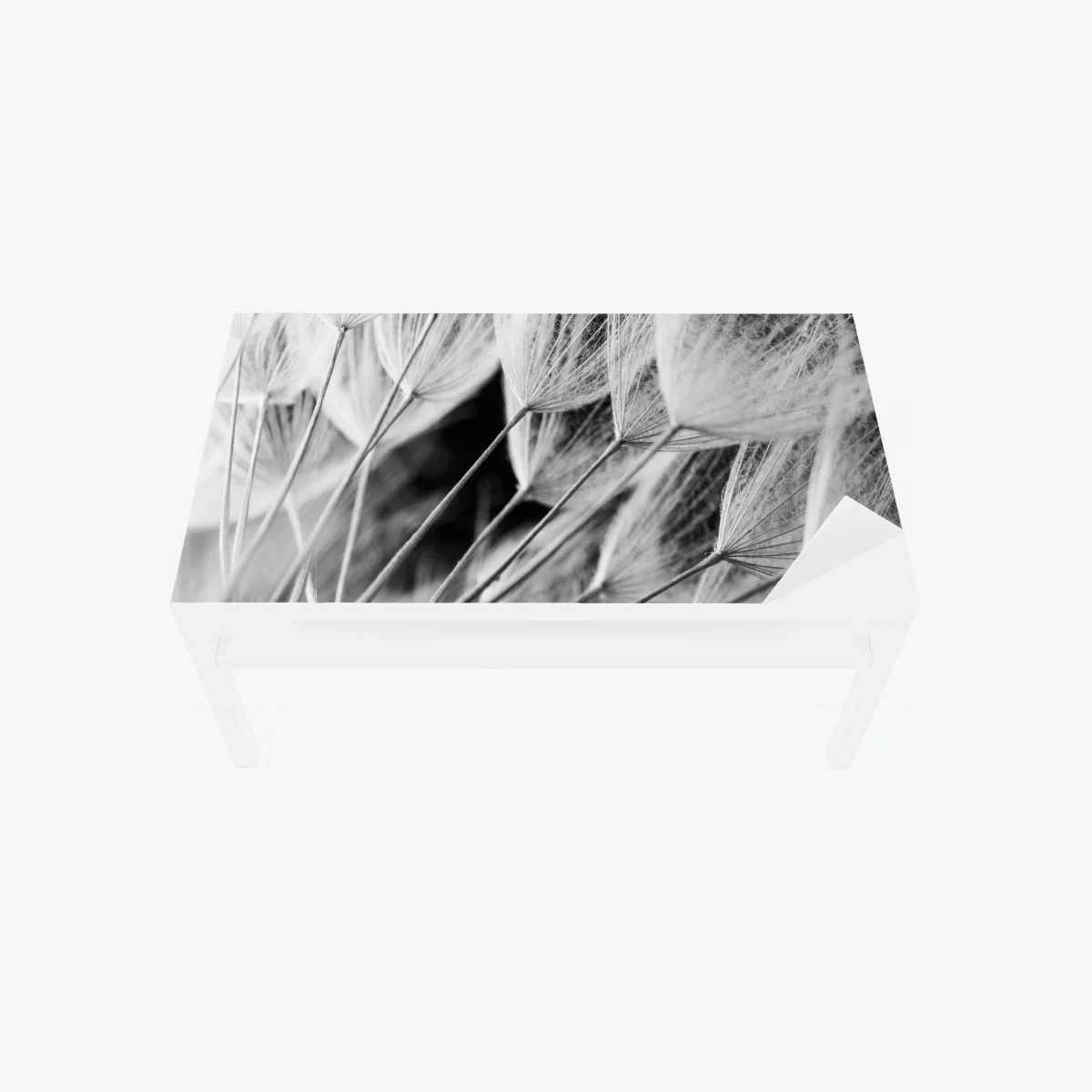 Adesivo per tavolo e scrivania soffioni in bianco e nero • Wallissimo® Adesivo per tavolo e scrivania soffioni in bianco e nero • Wallissimo®