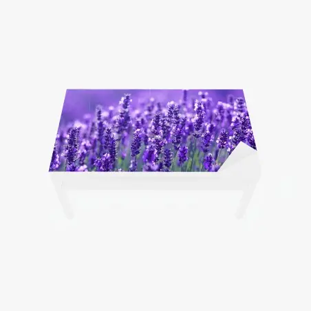 Adesivo per tavolo e scrivania un mare di lavanda in dettaglio • Wallissimo®