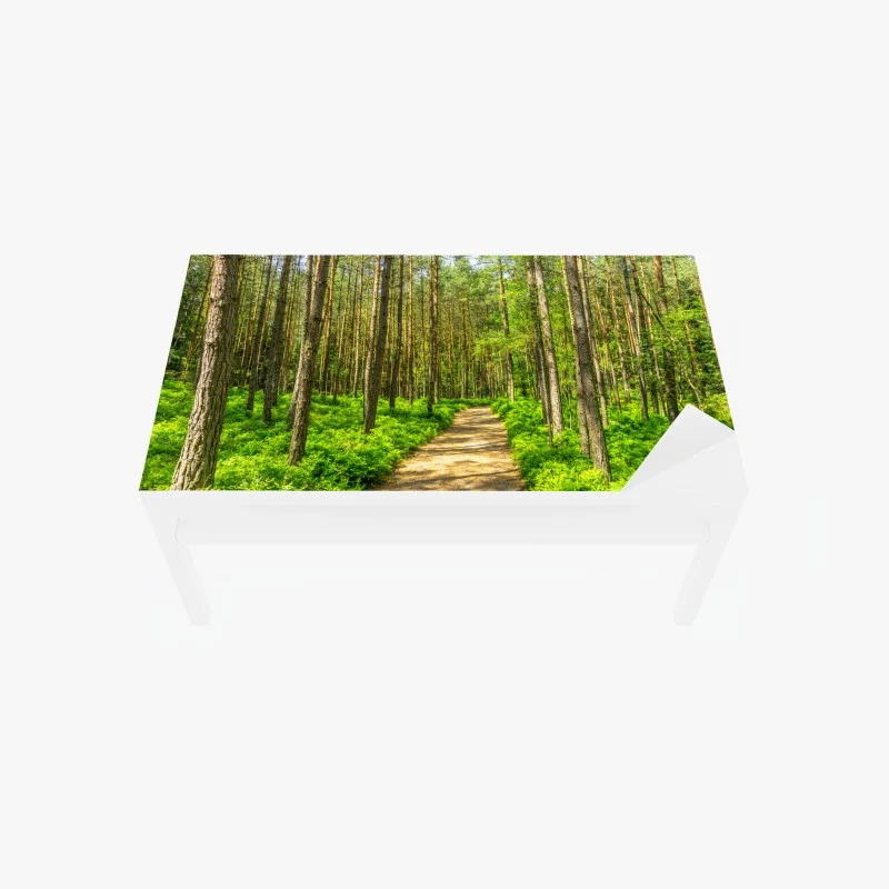 Adesivo per tavolo e scrivania sentiero silenzioso nella foresta di pini