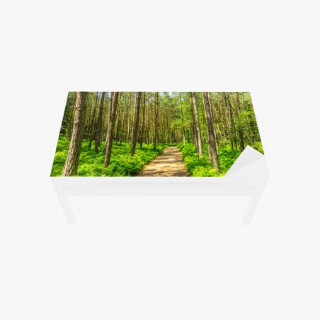 Adesivo per tavolo e scrivania sentiero silenzioso nella foresta di pini • Wallissimo®