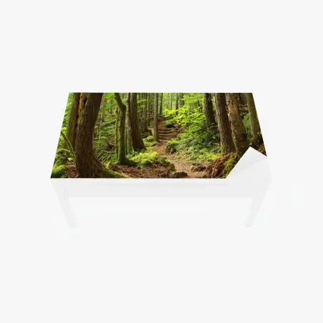 Adesivo per tavolo e scrivania sentiero nella foresta verde • Wallissimo®