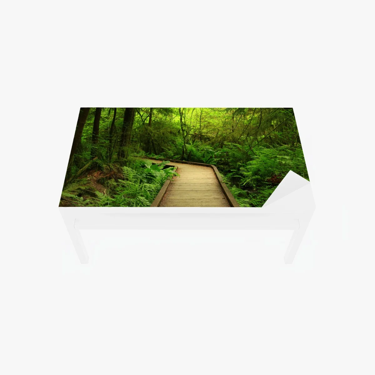 Adesivo per tavolo e scrivania sentiero nel bosco verde • Wallissimo® Adesivo per tavolo e scrivania sentiero nel bosco verde • Wallissimo®