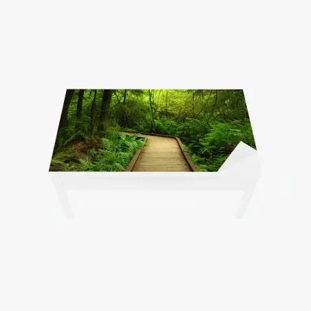 Adesivo per tavolo e scrivania sentiero nel bosco verde • Wallissimo®