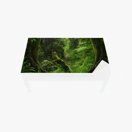 Adesivo per tavolo e scrivania sentiero incantato nella foresta pluviale • Wallissimo®