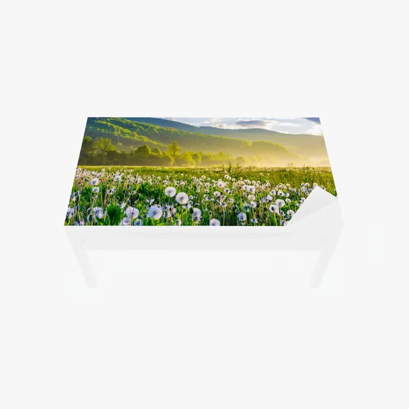 Adesivo per tavolo e scrivania alba nel prato di soffioni