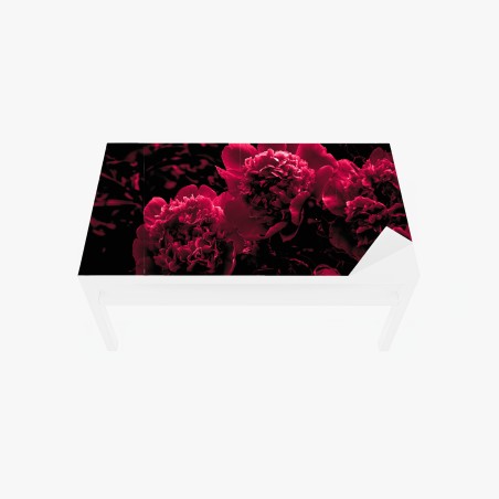 Adesivo per tavolo e scrivania peonie rosse in controluce • Wallissimo®
