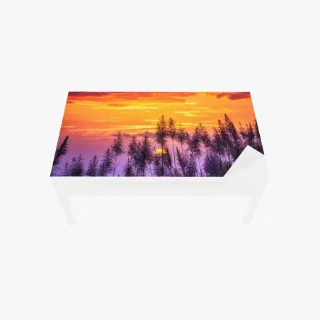 Adesivo per tavolo e scrivania tramonto dorato tra le canne • Wallissimo®