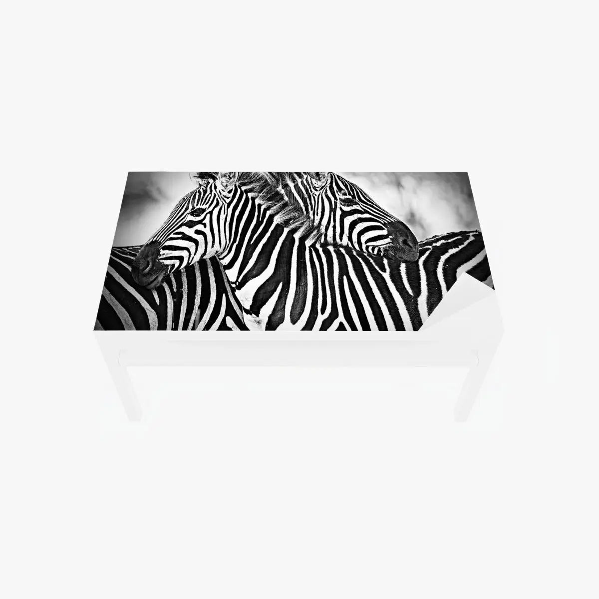 Adesivo per tavolo e scrivania intreccio di righe: zebre in bianco e nero • Wallissimo®