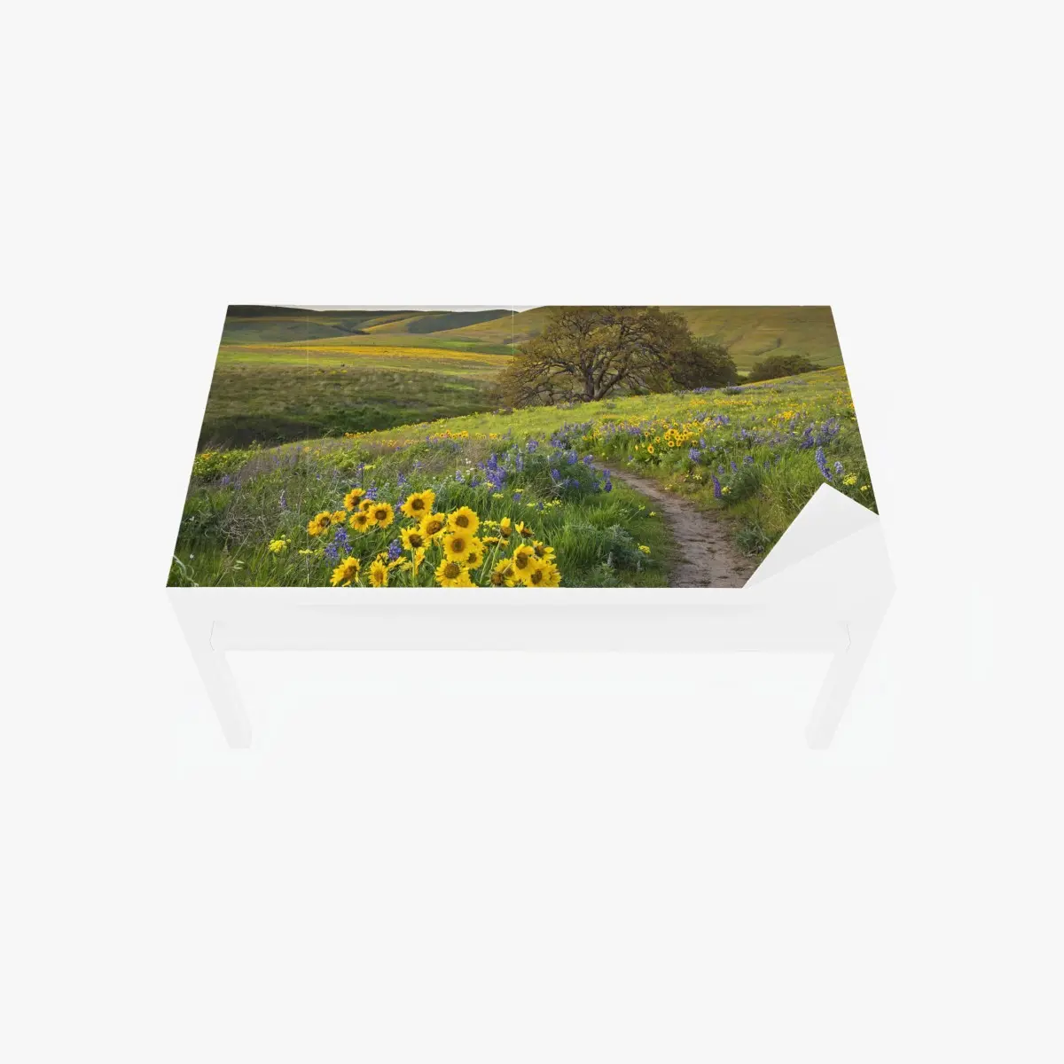 Adesivo per tavolo e scrivania sentiero tra i fiori selvatici sulle colline • Wallissimo®