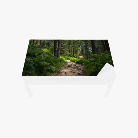Adesivo per tavolo e scrivania sentiero silenzioso nel bosco • Wallissimo®