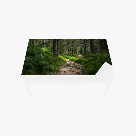 Adesivo per tavolo e scrivania sentiero silenzioso nel bosco • Wallissimo®