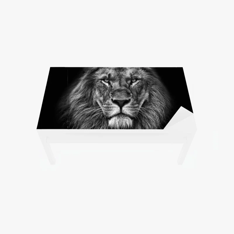 Adesivo per tavolo e scrivania ritratto maestoso di leone in bianco e nero