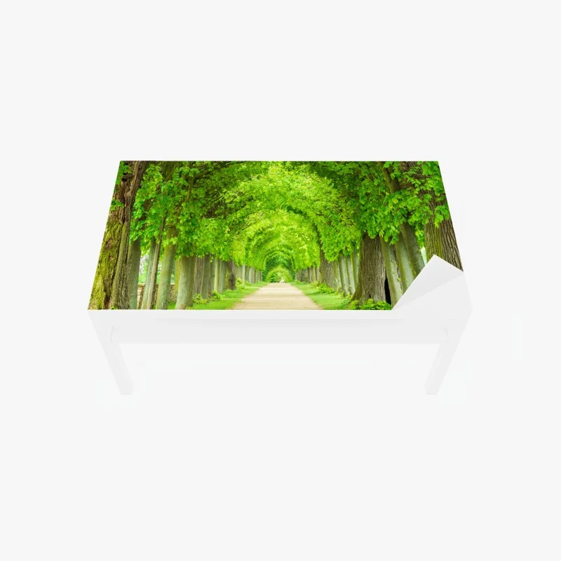 Adesivo per tavolo e scrivania viale alberato a volta di foglie