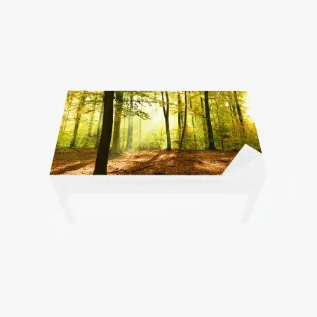 Adesivo per tavolo e scrivania mattina d'autunno nel bosco dorato • Wallissimo®