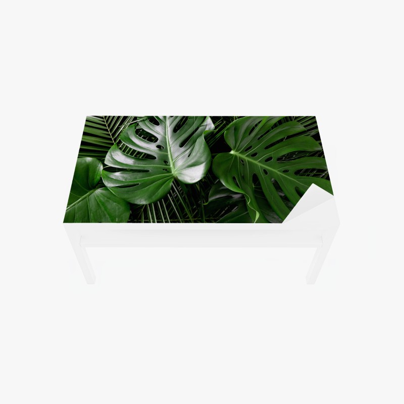 Adesivo per tavolo e scrivania composizione di foglie di monstera e palma