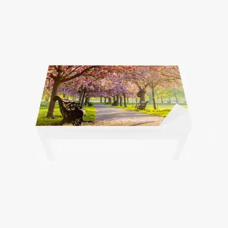 Adesivo per tavolo e scrivania viale di ciliegi in fiore al tramonto • Wallissimo®