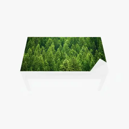 Adesivo per tavolo e scrivania foresta di pini smeraldo • Wallissimo®