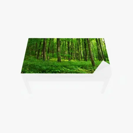 Adesivo per tavolo e scrivania raggi di sole nella foresta primaverile • Wallissimo®