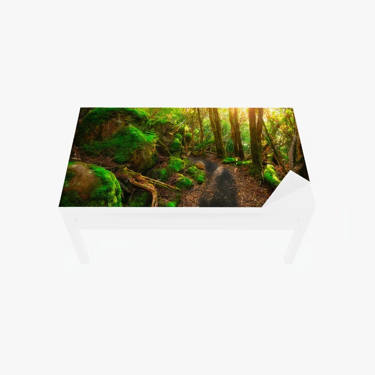 Adesivo per tavolo e scrivania sentiero giurassico nella foresta pluviale della Tasmania • Wallissimo® Adesivo per tavolo e scrivania sentiero giurassico nella foresta pluviale della Tasmania • Wallissimo®
