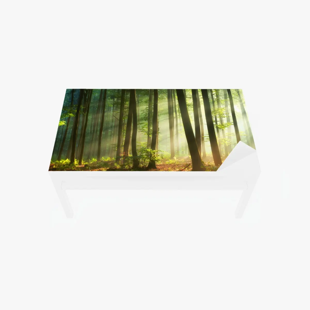 Adesivo per tavolo e scrivania mattina dorata nel bosco • Wallissimo®