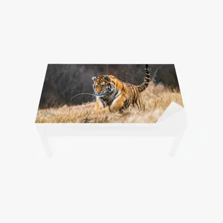 Adesivo per tavolo e scrivania tigre siberiana in corsa tra le betulle • Wallissimo®