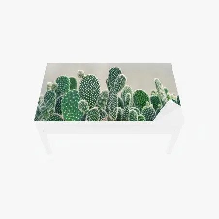 Adesivo per tavolo e scrivania texture di opuntia: stampa botanica verde • Wallissimo®