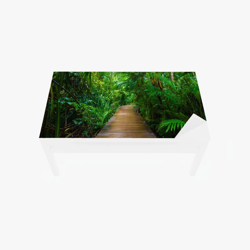 Adesivo per tavolo e scrivania sentiero di legno nella foresta di mangrovie