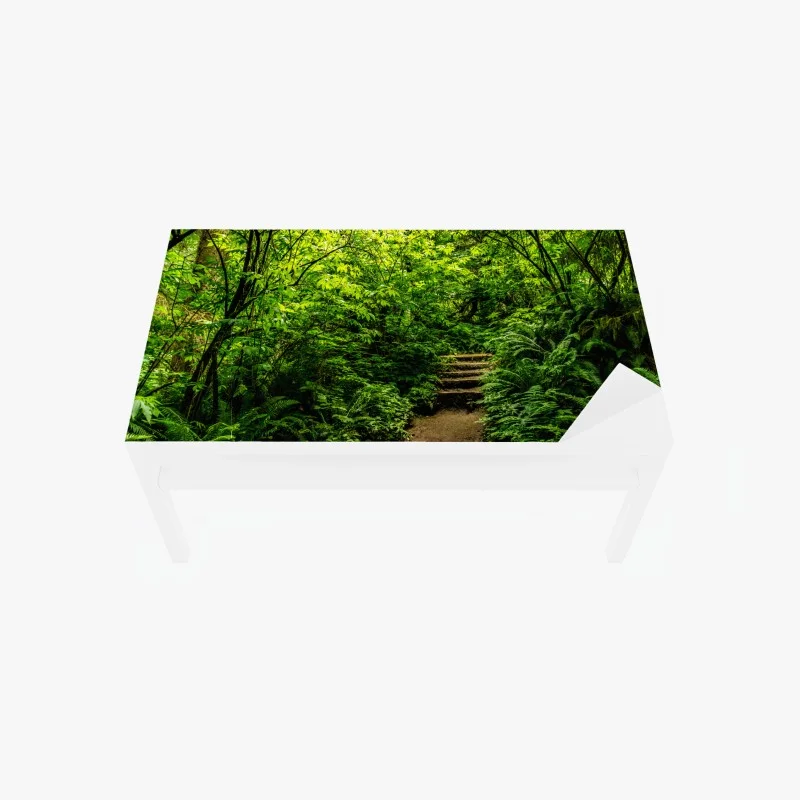 Adesivo per tavolo e scrivania sentiero nel bosco lussureggiante
