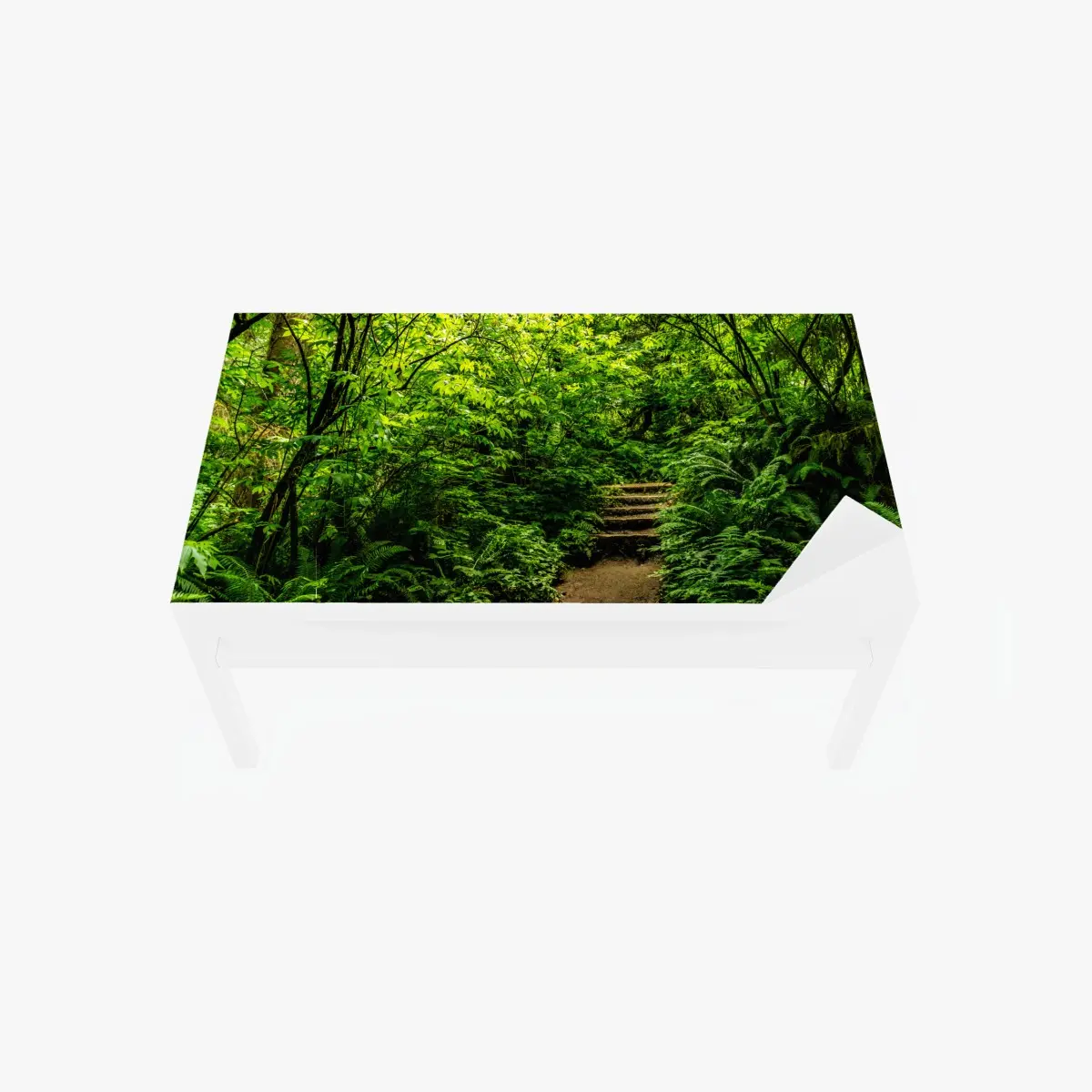Adesivo per tavolo e scrivania sentiero nel bosco lussureggiante • Wallissimo®