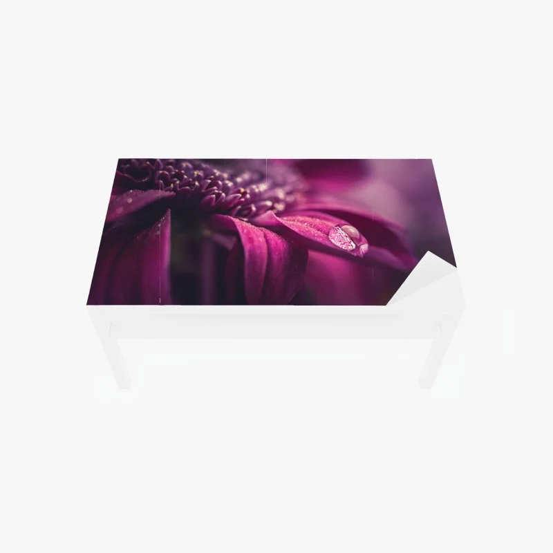 Adesivo per tavolo e scrivania dettaglio di petalo con goccia di rugiada