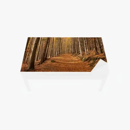 Adesivo per tavolo e scrivania sentiero d'autunno nel bosco dorato • Wallissimo®