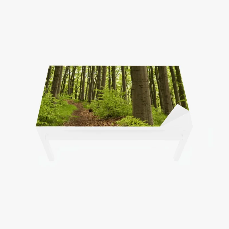 Adesivo per tavolo e scrivania sentiero nel bosco verde