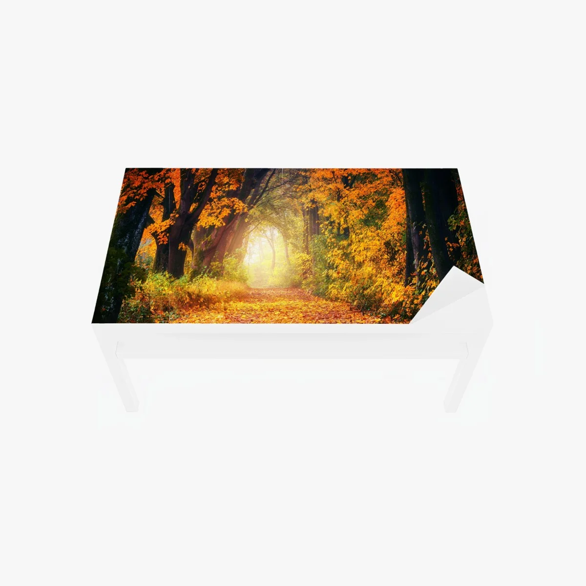 Adesivo per tavolo e scrivania incantevole sentiero d'autunno • Wallissimo® Adesivo per tavolo e scrivania incantevole sentiero d'autunno • Wallissimo®