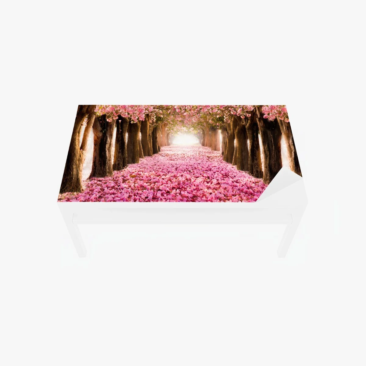 Adesivo per tavolo e scrivania viale incantato di fiori di ciliegio • Wallissimo® Adesivo per tavolo e scrivania viale incantato di fiori di ciliegio • Wallissimo®